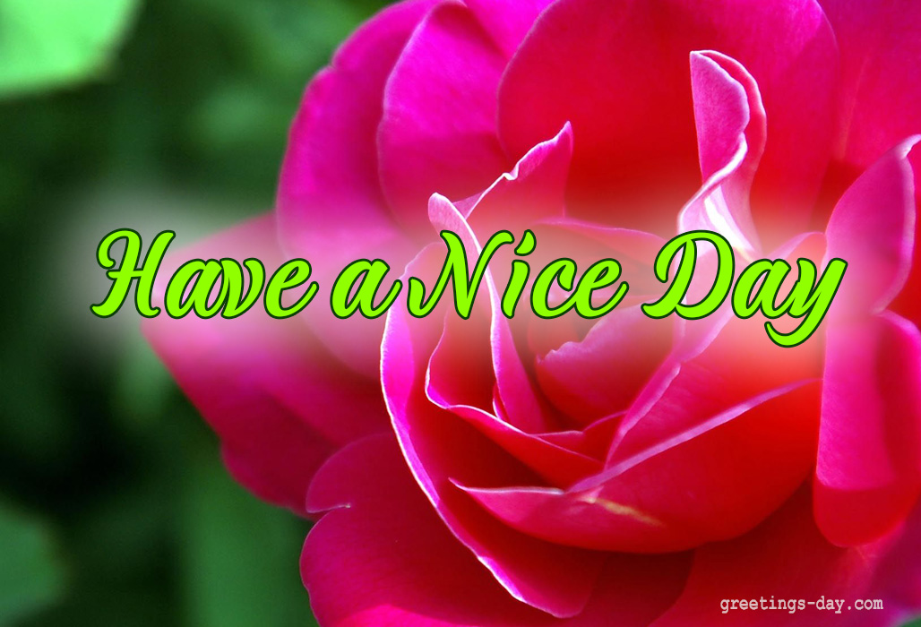 Have a Nice Day Daily Wishes, GIFs, Pictures.