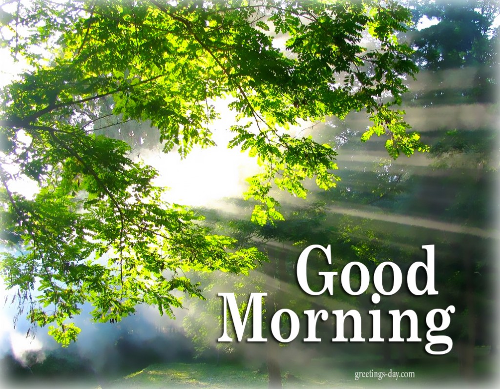 Good Morning Free Ecards Photos And Greetings