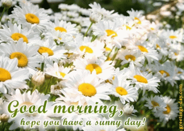Good Morning everyone
