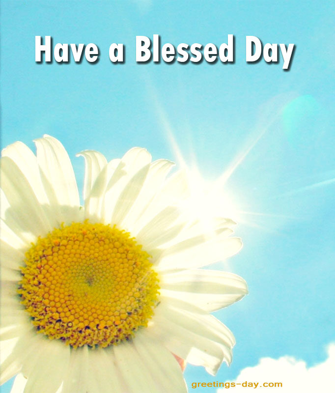 Have a Blessed Day