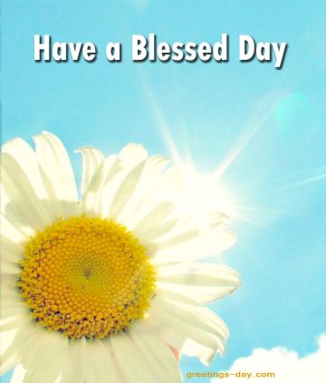 Have a Blessed Day