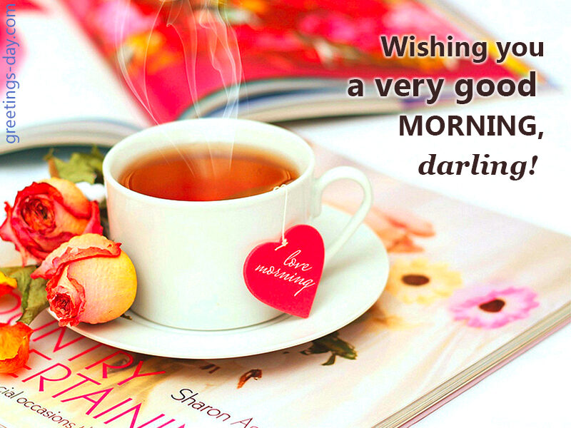Good Morning Darling.