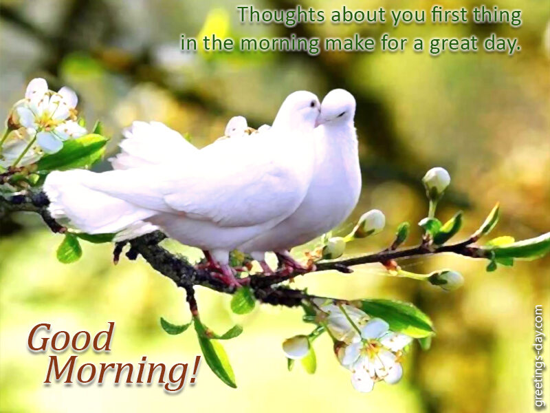 Love Quotes on Good Morning