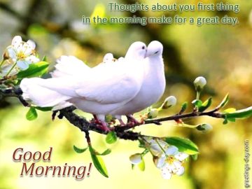 Love Quotes on Good Morning