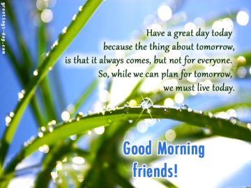 Good Morning Friends – Free Ecards, Pictures & Wishes.
