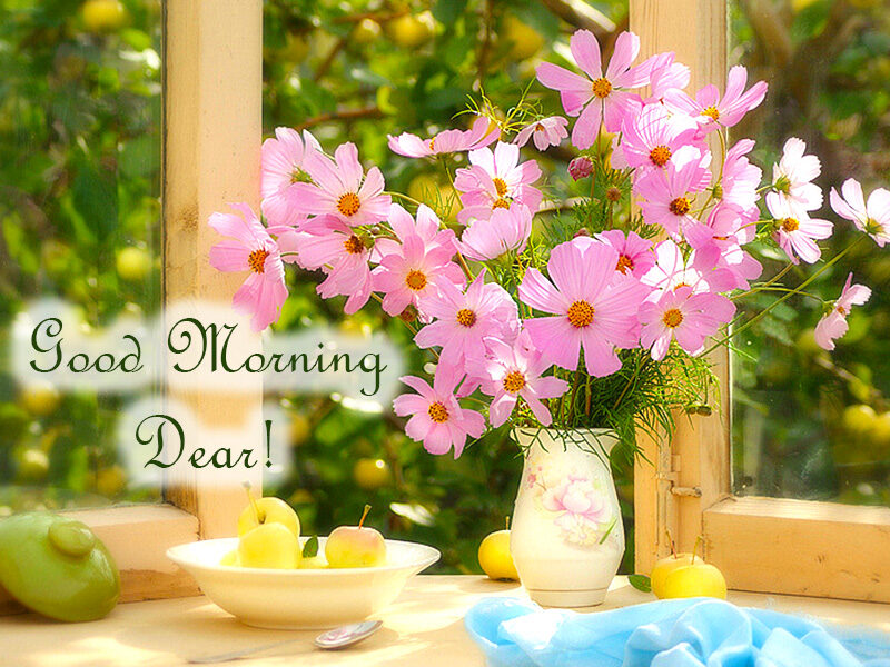 Good Morning Dear – Free Daily Ecards.