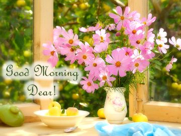 Good Morning Dear – Free Daily Ecards.