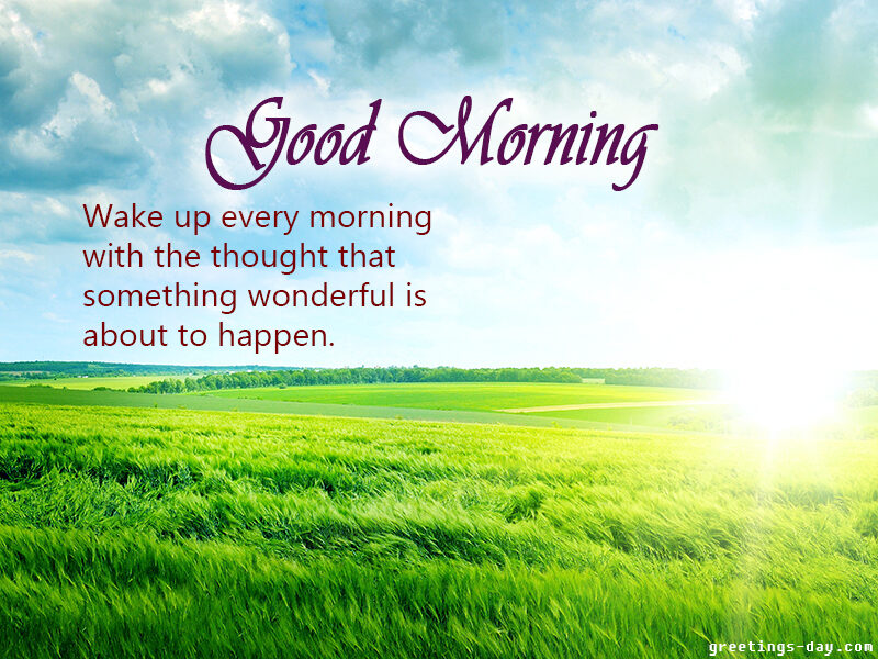 Good morning honey!