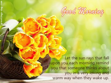 Good morning cutie!