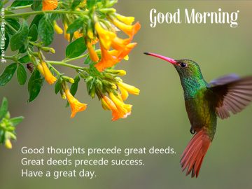 Good morning message  – Have a great day