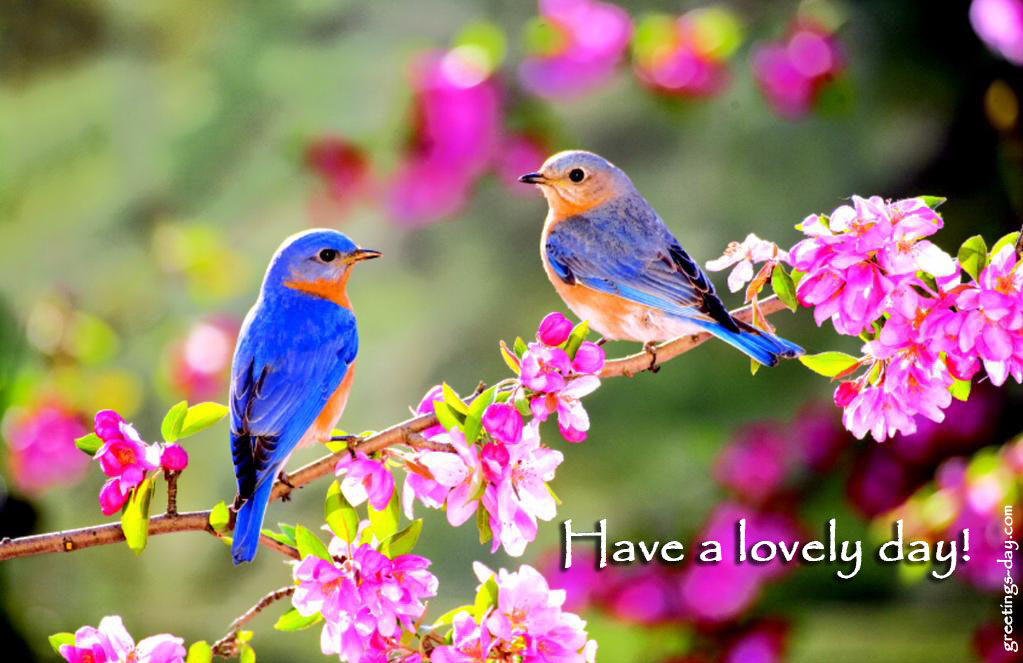 Have a Lovely Day.