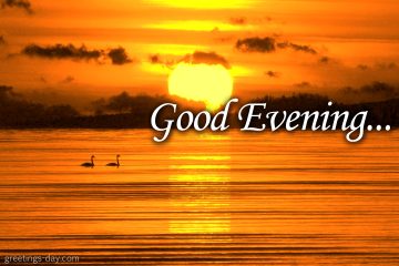 GOOD EVENING – Free Daily Ecards.