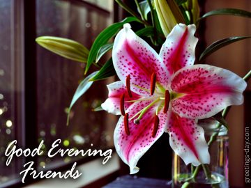 Good Evening my dear Friends