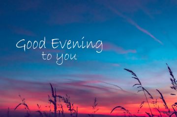 Good evening to you.