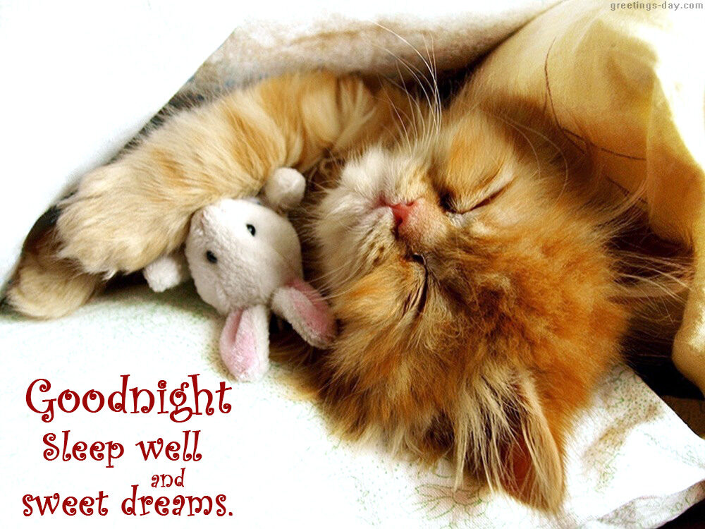Goodnight Sleep Well