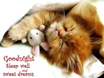 Goodnight Sleep Well
