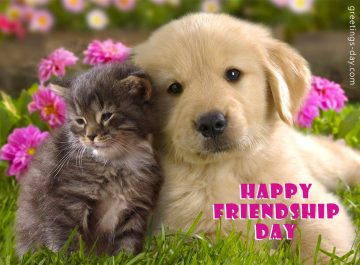Happy Friendship Day