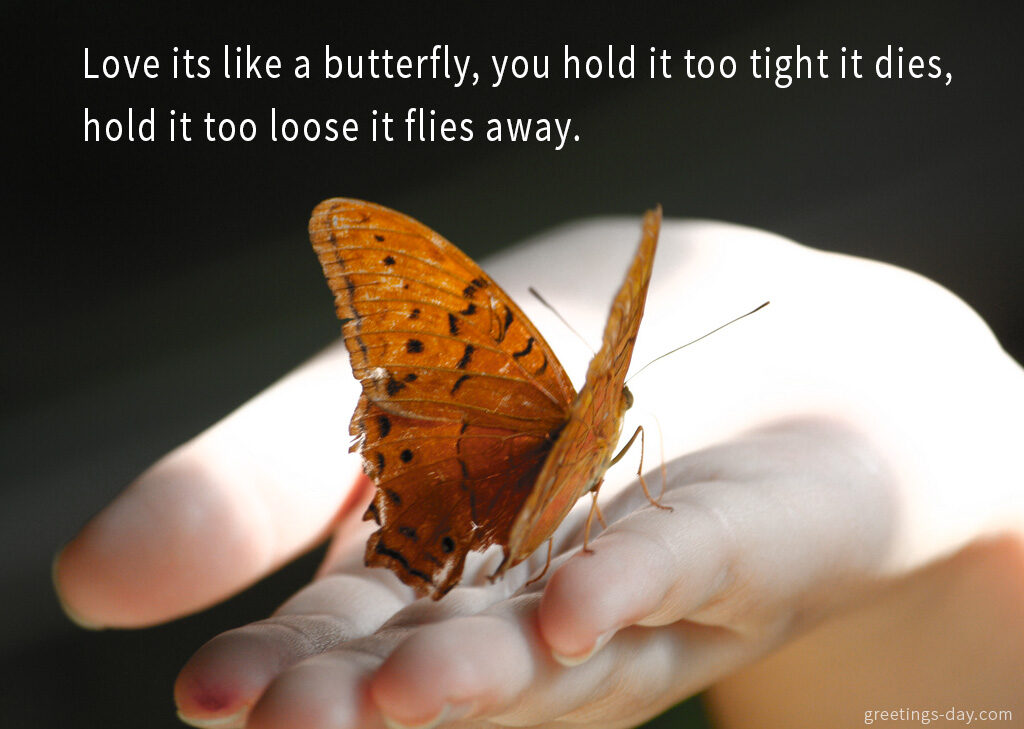 Love its like a butterfly