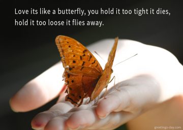 Love its like a butterfly