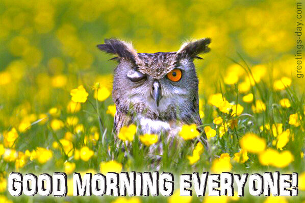 Good Morning Everyone