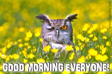 Good Morning Everyone