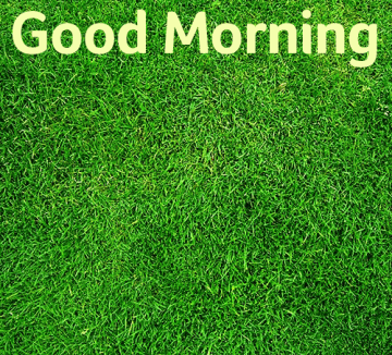 Good Morning Friends