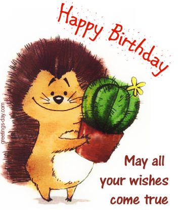 Happy Birthday Fun Pics