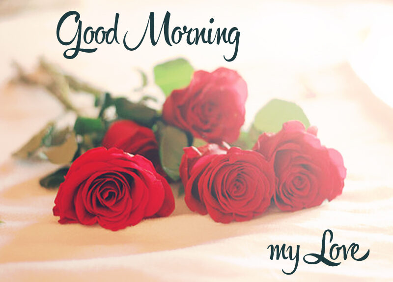 Good Morning my LOVE