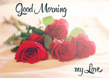 Good Morning my LOVE