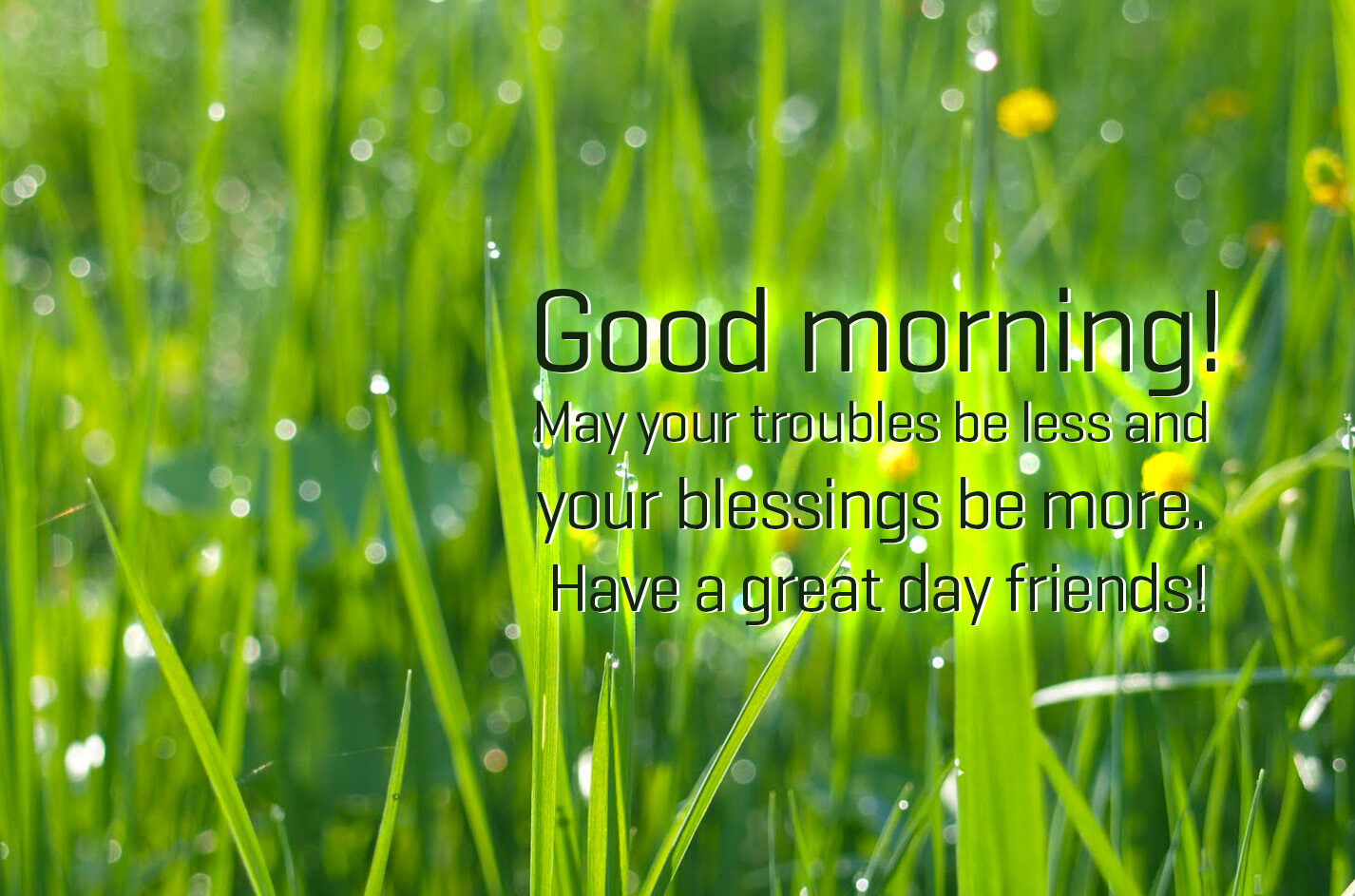 Good Morning for Friends