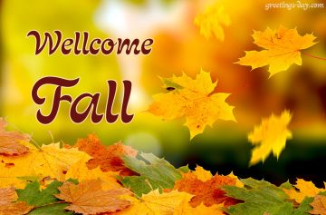 Wellcome Fall
