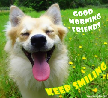Free Daily Morning Messages, Gifs & Pics.