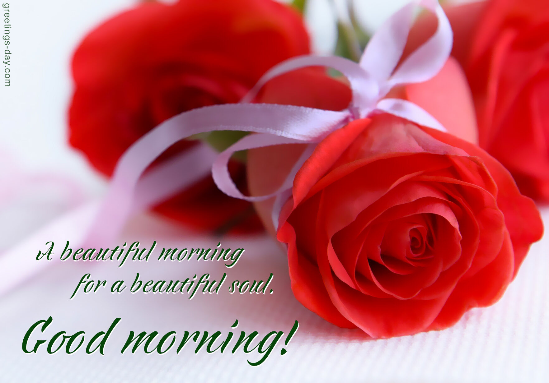 Good  Morning Beautiful