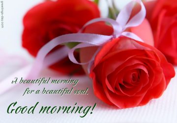 Good  Morning Beautiful