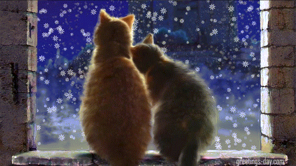Merry Christmas – Best Pictures, GIFs & Wishes, Greetings.