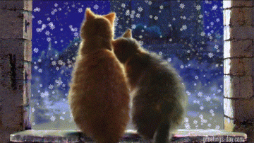 Merry Christmas – Best Pictures, GIFs & Wishes, Greetings.