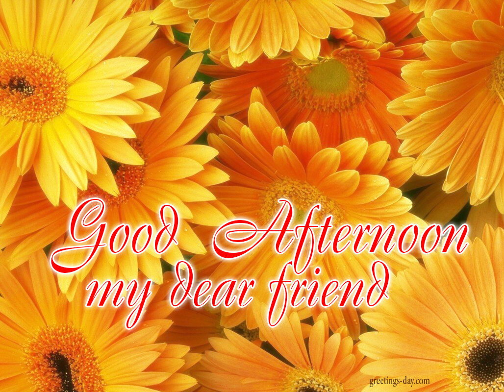 Good Afternoon – Free Pictures, Photos & Wishes.