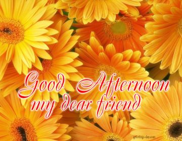 Good Afternoon – Free Pictures, Photos & Wishes.