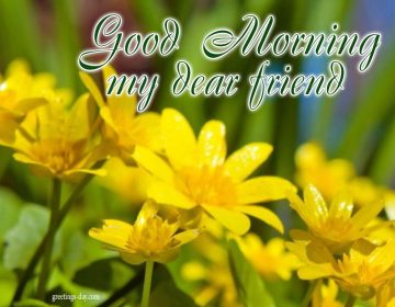 GoodMorning – Daily Pictures, Animated Pics & Wishes