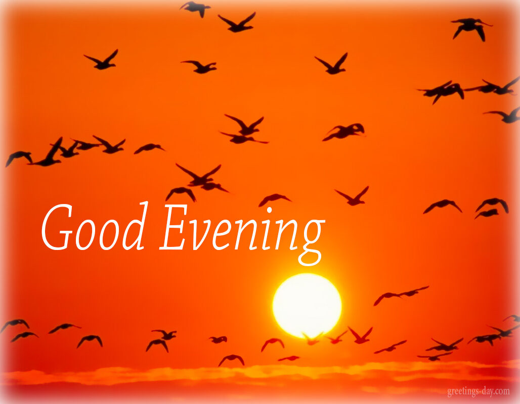 Good Evening – Daily GIFs, Pictures, Messages