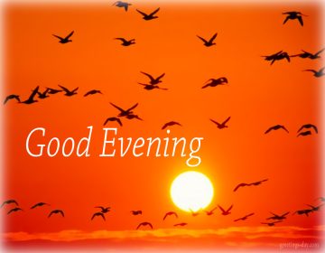 Good Evening – Daily GIFs, Pictures, Messages