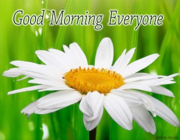 Good Morning – Daily Cards, GIFs and Greetings.