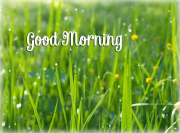 Good Morning – Online Cards, Photos & Quotes.