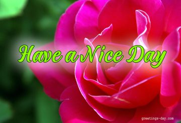 Have a Nice Day – Daily Wishes, GIFs, Pictures.