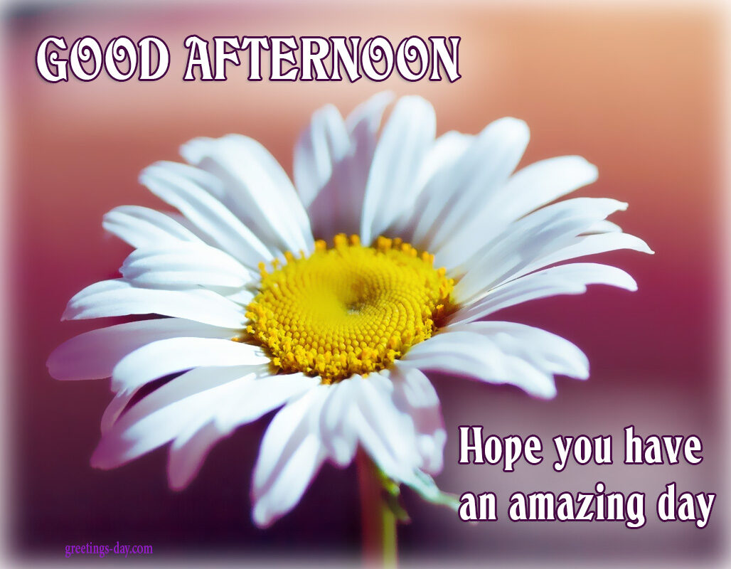Have a Nice Day – Online Pics, Animated GIFs, Wishes.