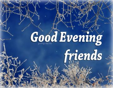 Good Evening – Best Photos, Messages, Pics