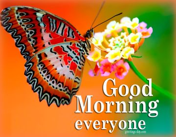 Good Morning  Everyone – Best Cards & Wishes