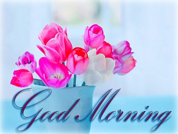 Good Morning – Best Cards, Animated Pics & Messages