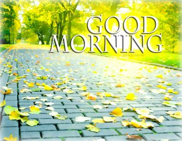 Good Morning – Best Ecards, GIFs & Wishes.