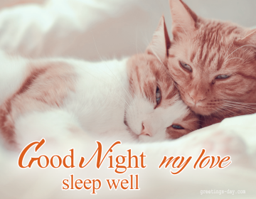 Good Night my LOVE sleep well